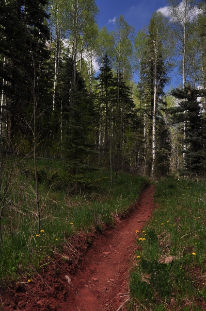 The Priest Gulch Trail